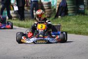 20110501_ales_agnus (2116)